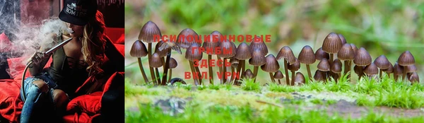 мефедрон Богданович
