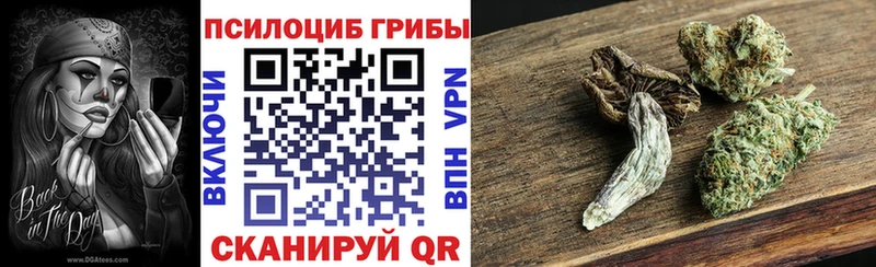 Купить закладки Феодосия Псилоцибиновые грибы Psilocybe